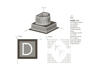 Digital Image Processing Basic Operations | PPTX