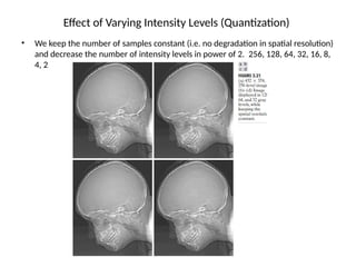 Digital Image Processing Basic Operations | PPTX