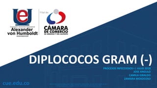 DIPLOCOCOS GRAM (-)
PROCESOS INFECCIOSOS I | JULIO 2018
JOSE ANGULO
CAMILA GIRALDO
ZAMARA MOSOCOSO
 