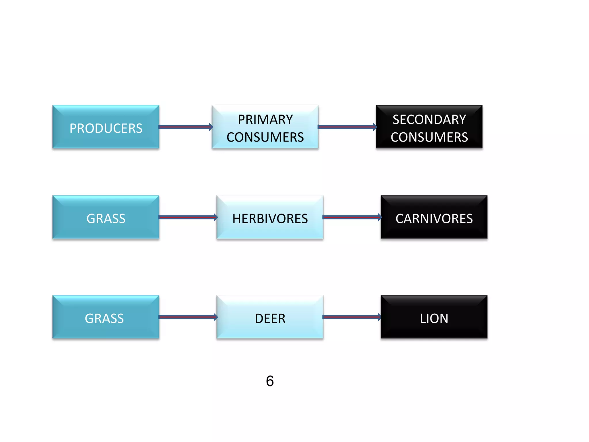 PRODUCERS
GRASS
GRASS
PRIMARY
CONSUMERS
SECONDARY
CONSUMERS
CARNIVORES
DEER
HERBIVORES
LION
6
 
