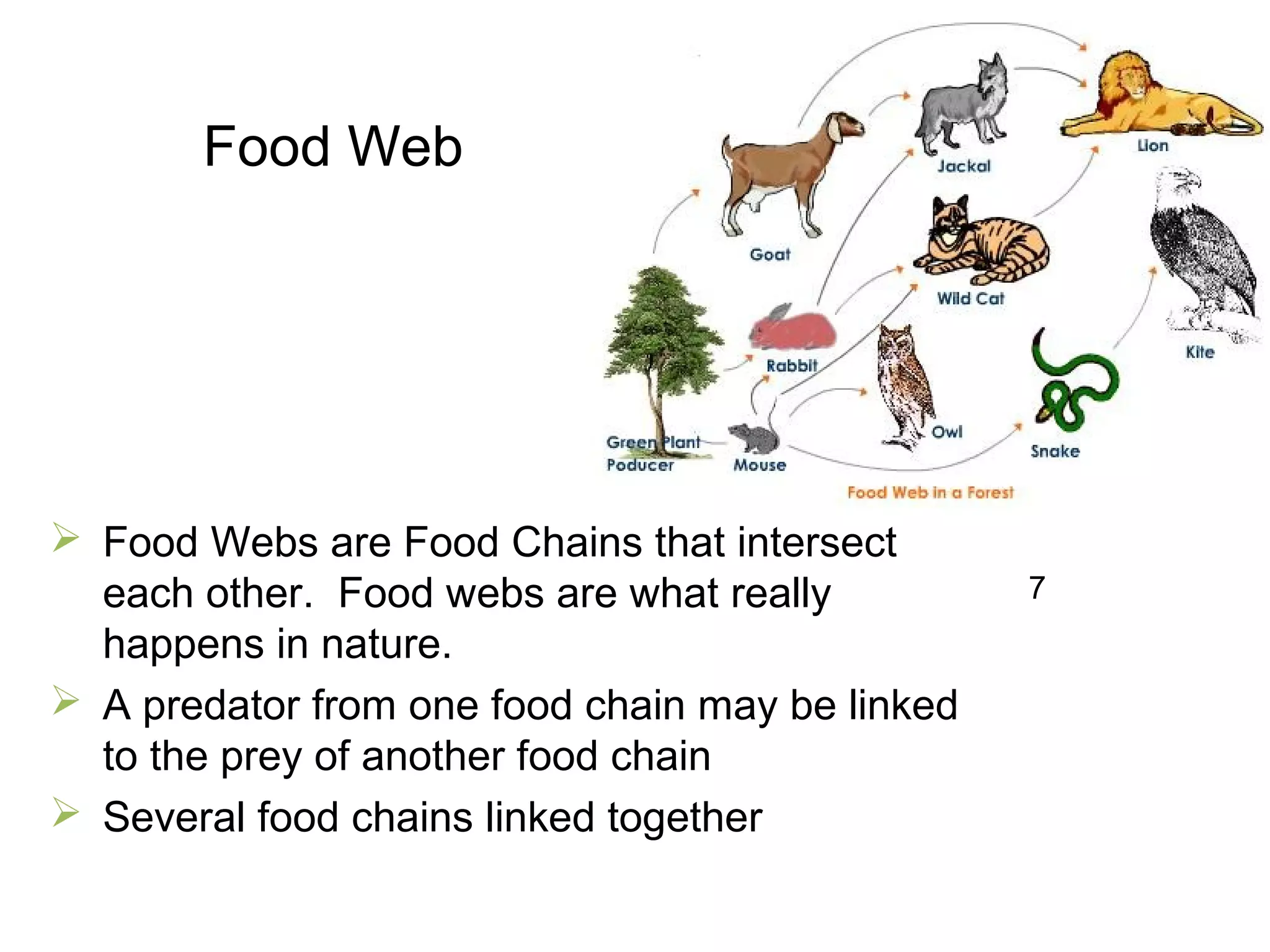 Food Web
 Food Webs are Food Chains that intersect
each other. Food webs are what really
happens in nature.
 A predator from one food chain may be linked
to the prey of another food chain
 Several food chains linked together
7
 