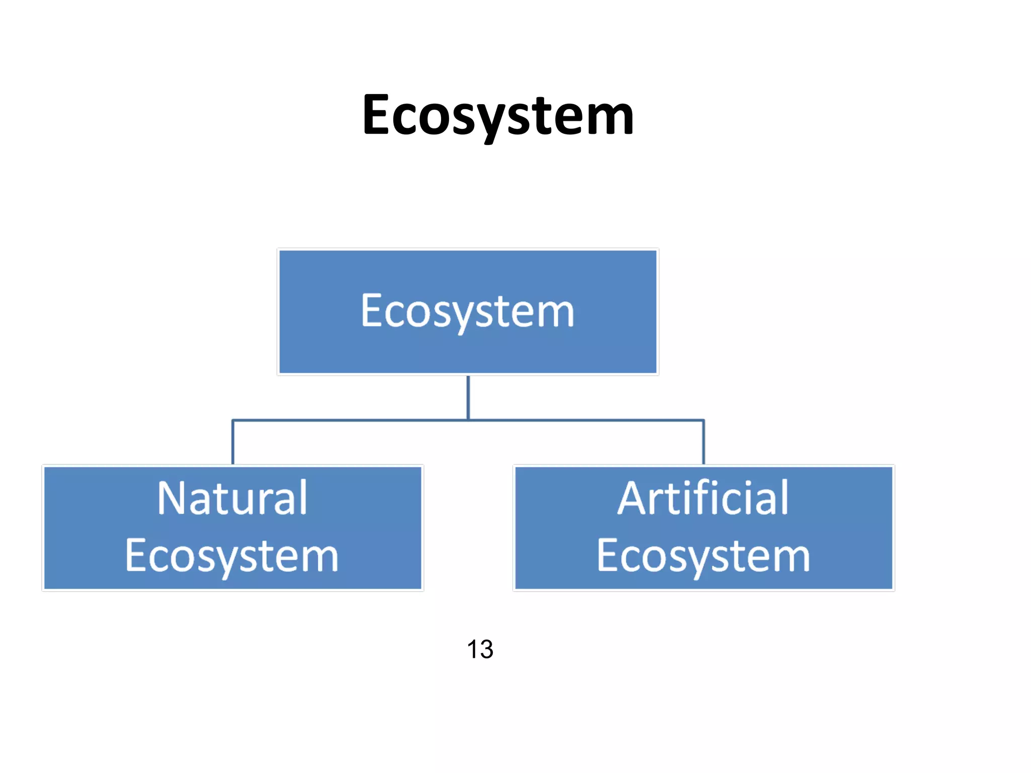 Ecosystem
13
 
