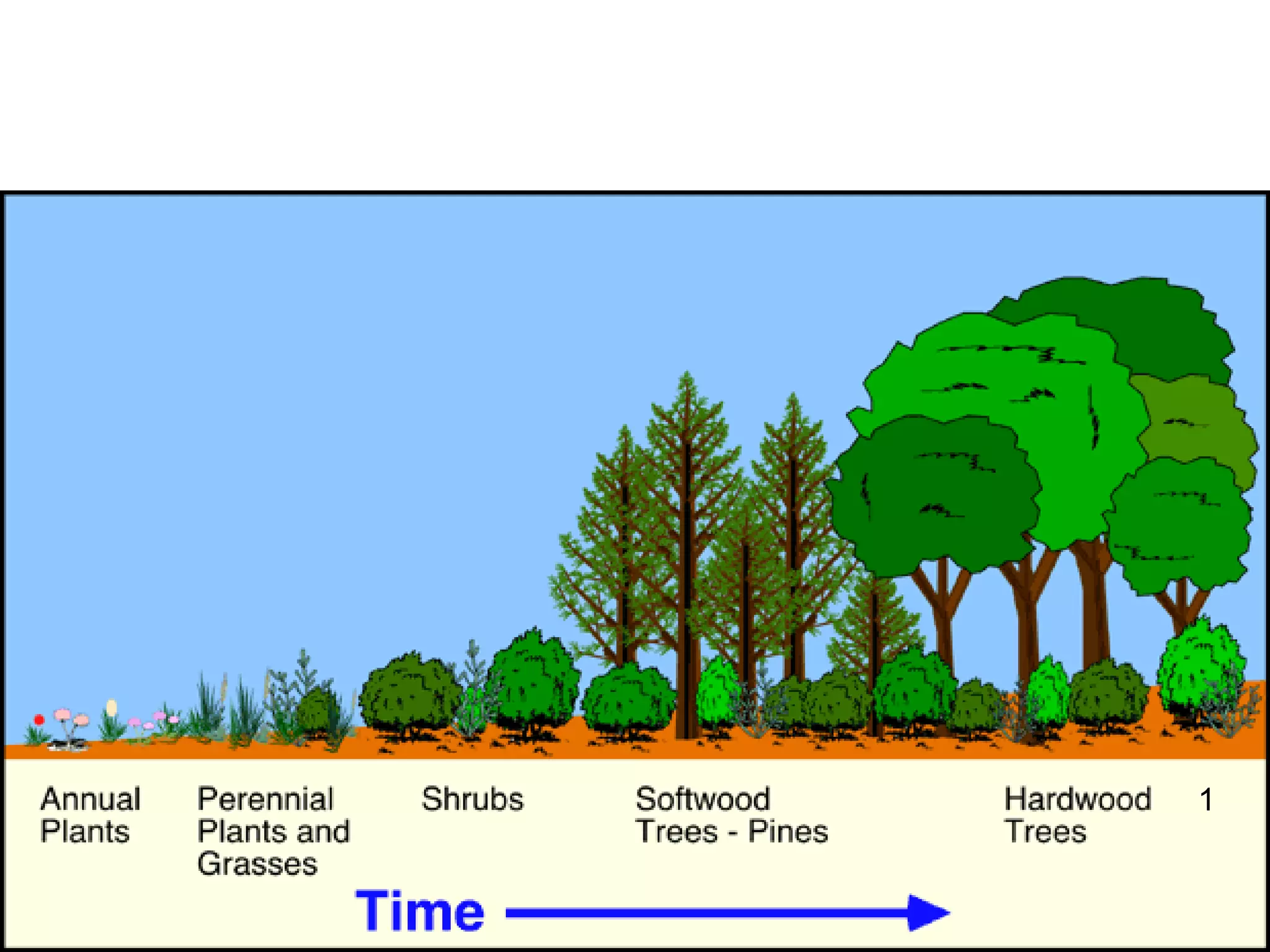 Ecological Succession
1
 