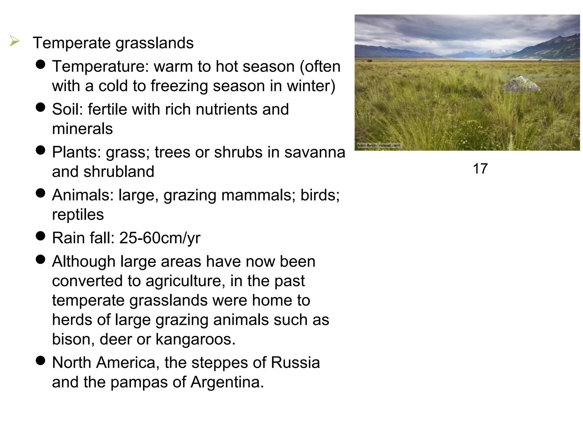 Temperate grasslands
Temperature: warm to hot season (often
with a cold to freezing season in winter)
Soil: fertile with rich nutrients and
minerals
Plants: grass; trees or shrubs in savanna
and shrubland
Animals: large, grazing mammals; birds;
reptiles
Rain fall: 25-60cm/yr
Although large areas have now been
converted to agriculture, in the past
temperate grasslands were home to
herds of large grazing animals such as
bison, deer or kangaroos.
North America, the steppes of Russia
and the pampas of Argentina.
17
 