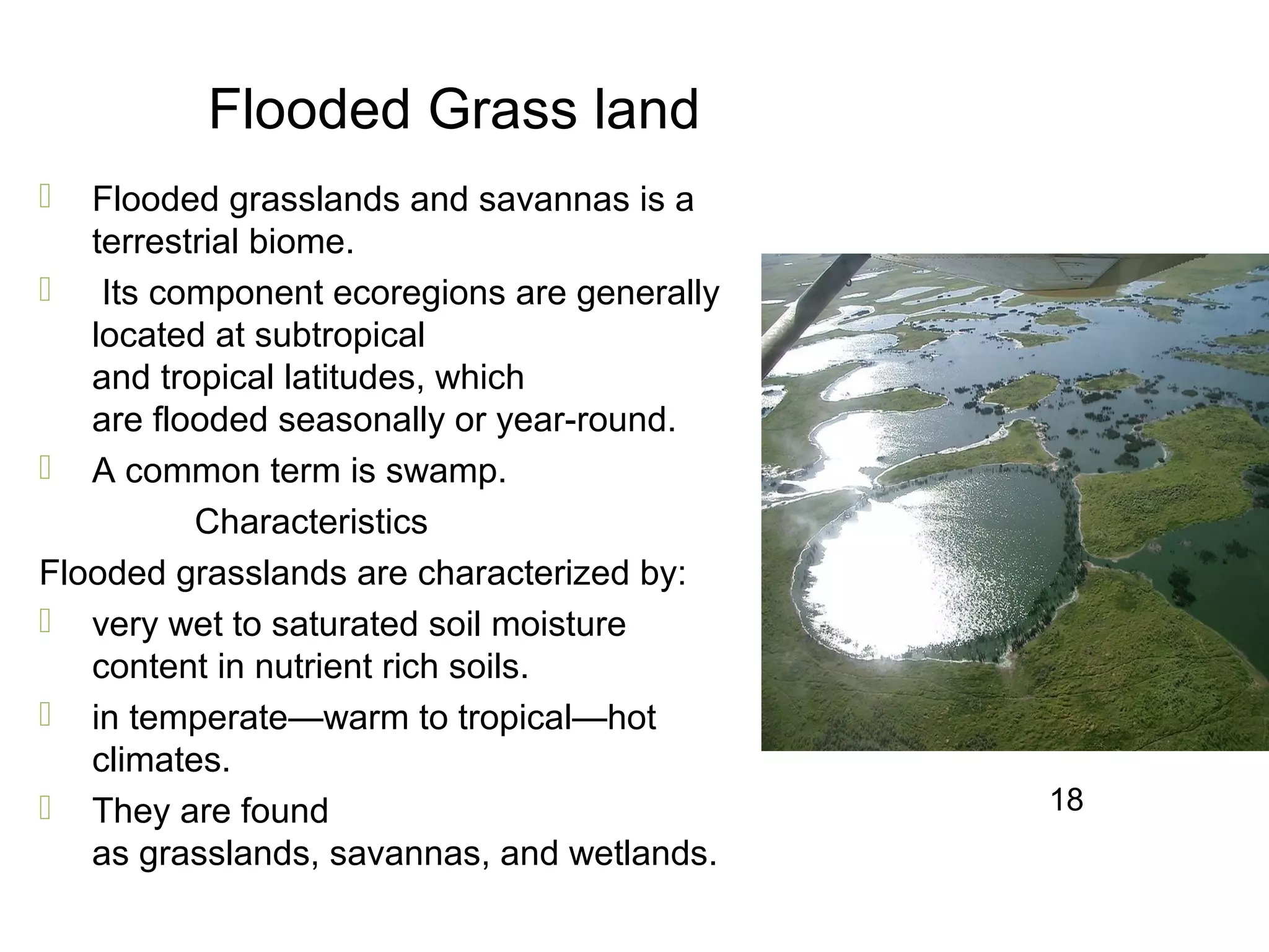 Flooded Grass land
 Flooded grasslands and savannas is a
terrestrial biome.
 Its component ecoregions are generally
located at subtropical
and tropical latitudes, which
are flooded seasonally or year-round.
 A common term is swamp.
Characteristics
Flooded grasslands are characterized by:
 very wet to saturated soil moisture
content in nutrient rich soils.
 in temperate—warm to tropical—hot
climates.
 They are found
as grasslands, savannas, and wetlands.
18
 