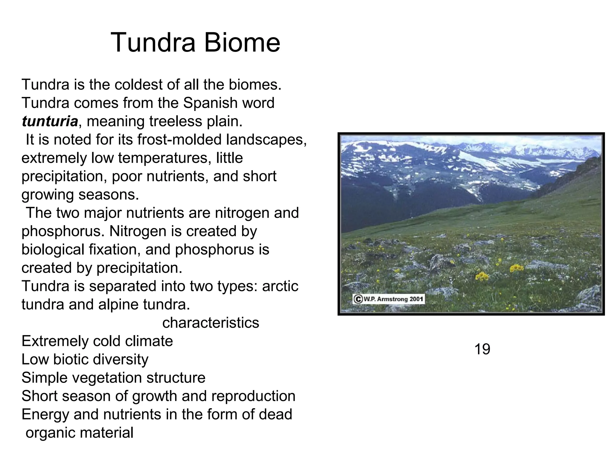 Tundra Biome
Tundra is the coldest of all the biomes.
Tundra comes from the Spanish word
tunturia, meaning treeless plain.
It is noted for its frost-molded landscapes,
extremely low temperatures, little
precipitation, poor nutrients, and short
growing seasons.
The two major nutrients are nitrogen and
phosphorus. Nitrogen is created by
biological fixation, and phosphorus is
created by precipitation.
Tundra is separated into two types: arctic
tundra and alpine tundra.
characteristics
Extremely cold climate
Low biotic diversity
Simple vegetation structure
Short season of growth and reproduction
Energy and nutrients in the form of dead
organic material
19
 