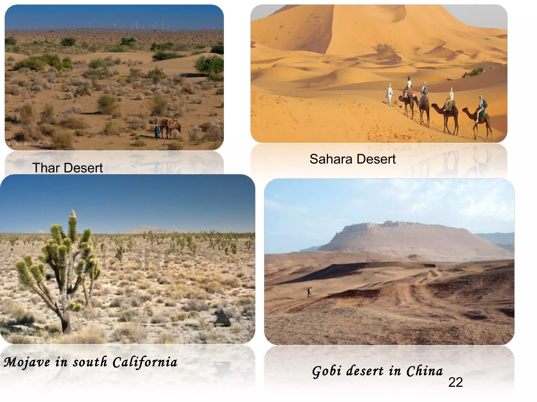 Thar Desert
Sahara Desert
Mojave in south California
Gobi desert in China
22
 