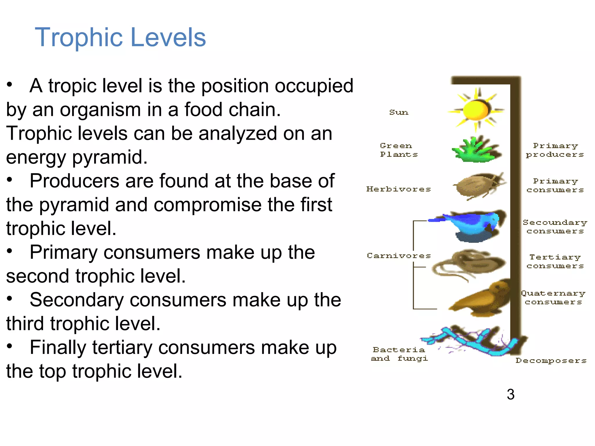 Trophic Levels
• A tropic level is the position occupied
by an organism in a food chain.
Trophic levels can be analyzed on an
energy pyramid.
• Producers are found at the base of
the pyramid and compromise the first
trophic level.
• Primary consumers make up the
second trophic level.
• Secondary consumers make up the
third trophic level.
• Finally tertiary consumers make up
the top trophic level.
3
 