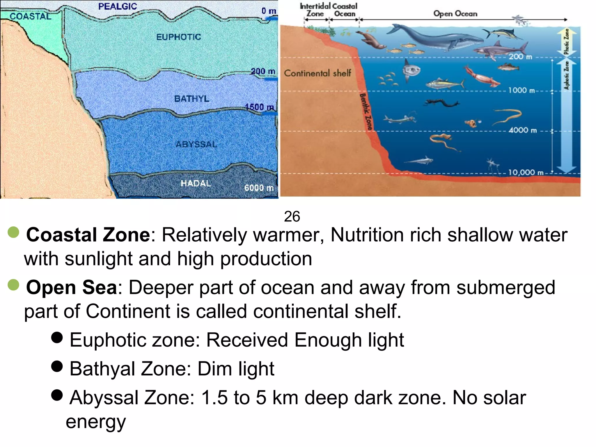 Coastal Zone: Relatively warmer, Nutrition rich shallow water
with sunlight and high production
Open Sea: Deeper part of ocean and away from submerged
part of Continent is called continental shelf.
Euphotic zone: Received Enough light
Bathyal Zone: Dim light
Abyssal Zone: 1.5 to 5 km deep dark zone. No solar
energy
26
 