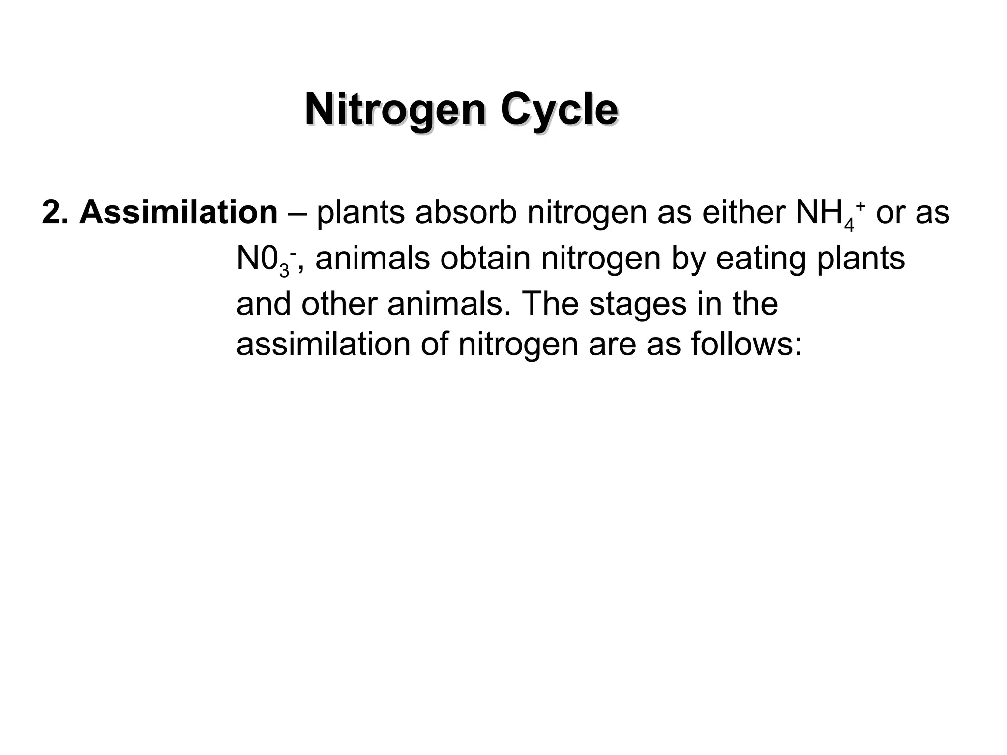 Nitrogen CycleNitrogen Cycle
2. Assimilation – plants absorb nitrogen as either NH4
+
or as
N03
-
, animals obtain nitrogen by eating plants
and other animals. The stages in the
assimilation of nitrogen are as follows:
 