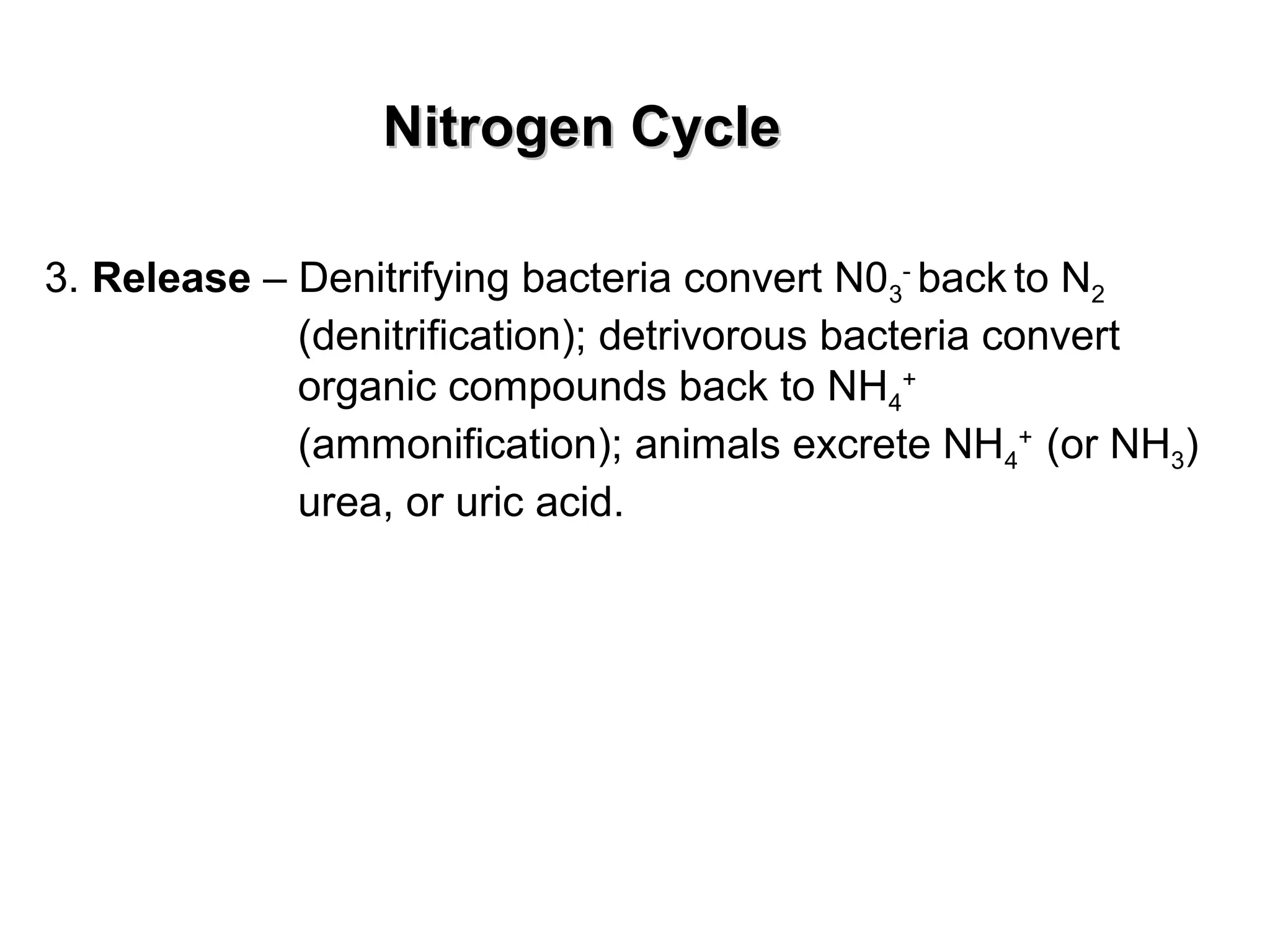 Nitrogen CycleNitrogen Cycle
3. Release – Denitrifying bacteria convert N03
-
back to N2
(denitrification); detrivorous bacteria convert
organic compounds back to NH4
+
(ammonification); animals excrete NH4
+
(or NH3)
urea, or uric acid.
 