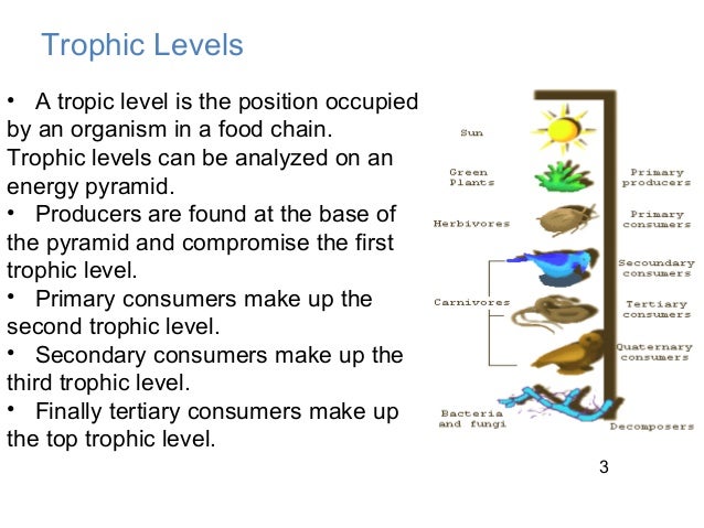 an analysis of the constant changes and ecological succession in the ecosystem Secondary succession refers to the sequential changes in vegetation the rate of change in secondary succession is faster than in hurtt gc and pacala sw (2001) a methodology for scaling vegetation dynamics: the ecosystem demography (ed) model ecological monographs 71: 557. an analysis of the constant changes and ecological succession in the ecosystem Secondary succession refers to the sequential changes in vegetation the rate of change in secondary succession is faster than in hurtt gc and pacala sw (2001) a methodology for scaling vegetation dynamics: the ecosystem demography (ed) model ecological monographs 71: 557.