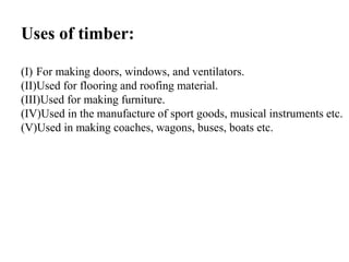 Uses of timber:
(I) For making doors, windows, and ventilators.
(II)Used for flooring and roofing material.
(III)Used for making furniture.
(IV)Used in the manufacture of sport goods, musical instruments etc.
(V)Used in making coaches, wagons, buses, boats etc.
 