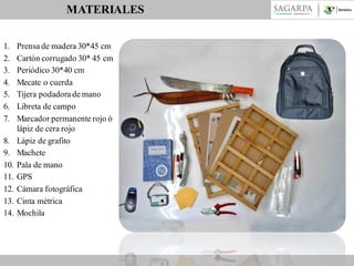 MATERIALES
1.
2.
3.
4.
5.
6.
7.
8.
9.
10.
11.
12.
13.
14.

Prensa de madera 30*45 cm
Cartón corrugado 30* 45 cm
Periódico 30*40 cm
Mecate o cuerda
Tijera podadora de mano
Libreta de campo
Marcador permanente rojo ó
lápiz de cera rojo
Lápiz de grafito
Machete
Pala de mano
GPS
Cámara fotográfica
Cinta métrica
Mochila

 