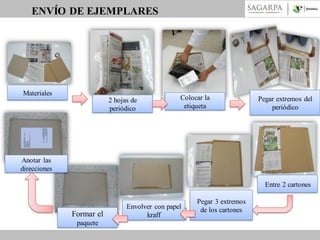 ENVÍO DE EJEMPLARES

Materiales
2 hojas de
periódico

Colocar la
etiqueta

Pegar extremos del
periódico

Anotar las
direcciones
Entre 2 cartones

Formar el
paquete

Envolver con papel
kraff

Pegar 3 extremos
de los cartones

 