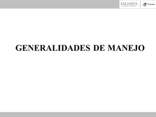 GENERALIDADES DE MANEJO

 