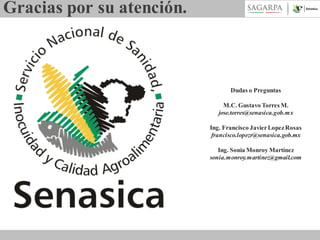 Gracias por su atención.

Dudas o Preguntas
M.C. Gustavo Torres M.
jose.torres@senasica.gob.mx
Ing. Francisco Javier Lopez Rosas
francisco.lopezr@senasica.gob.mx

Ing. Sonia Monroy Martínez
sonia.monroy.martinez@gmail.com

 
