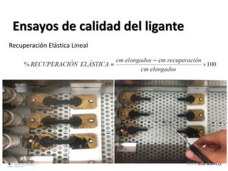 Ensayos de calidad del ligante
Recuperación Elástica Lineal
 