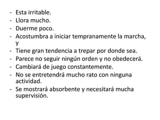 -   Esta irritable.
-   Llora mucho.
-   Duerme poco.
-   Acostumbra a iniciar tempranamente la marcha,
    y
-   Tiene gran tendencia a trepar por donde sea.
-   Parece no seguir ningún orden y no obedecerá.
-   Cambiará de juego constantemente.
-   No se entretendrá mucho rato con ninguna
    actividad.
-   Se mostrará absorbente y necesitará mucha
    supervisión.
 