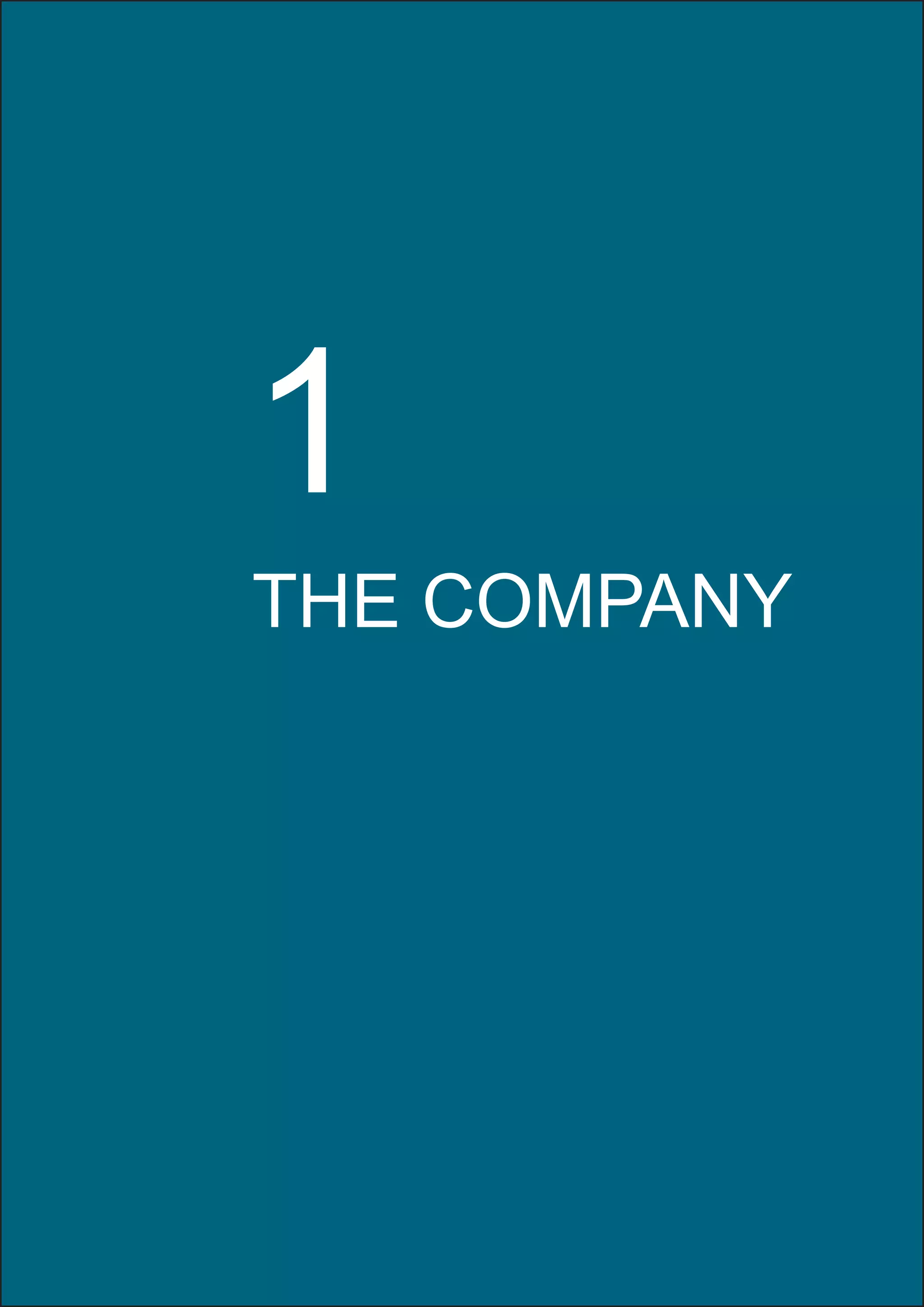New Media Design | Diploma Project 
14 
THE COMPANY 
1 
 