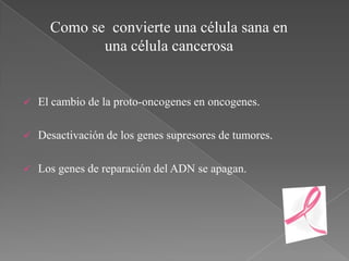Como se convierte una célula sana en
             una célula cancerosa


   El cambio de la proto-oncogenes en oncogenes.

   Desactivación de los genes supresores de tumores.

   Los genes de reparación del ADN se apagan.
 