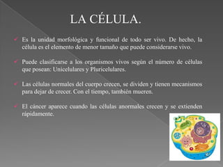 LA CÉLULA.
 Es la unidad morfológica y funcional de todo ser vivo. De hecho, la
  célula es el elemento de menor tamaño que puede considerarse vivo.

 Puede clasificarse a los organismos vivos según el número de células
  que posean: Unicelulares y Pluricelulares.

 Las células normales del cuerpo crecen, se dividen y tienen mecanismos
  para dejar de crecer. Con el tiempo, también mueren.

 El cáncer aparece cuando las células anormales crecen y se extienden
  rápidamente.
 