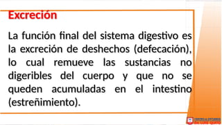 Comprehensive Overview of the Human Digestive System and Its ...