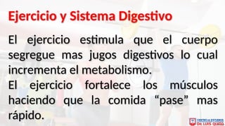 Comprehensive Overview of the Human Digestive System and Its ...