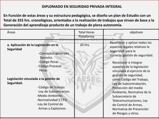 Diplomado de seguridad integral | PDF