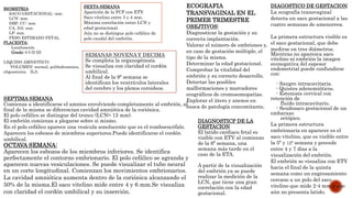 ECOGRAFIA
TRANSVAGINAL EN EL
PRIMER TRIMESTRE
OBEJTIVOS:
Diagnosticar la gestación y su
correcta implantación.
Valorar el número de embriones y,
en caso de gestación múltiple, el
tipo de la misma.
Determinar la edad gestacional.
Comprobar la vitalidad del
embrión y su correcto desarrollo.
Detectar las posibles
malformaciones y marcadores
ecográficos de cromosomopatías.
Explorar el útero y anexos en
busca de patología concomitante.
BIOMETRIA:
SACO GESTACIONAL: mm.
LCN: mm.
DBP, CC: mm.
CA, DA: mm.
LF: mm.
PESO ESTIMADO FETAL.
PLACENTA:
Localización.
Grado: 0-I-II-III
LIQUIDO AMNIOTICO:
VOLUMEN: normal, polihidramnios,
oligoamnios. ILA.
DIAGOSTICO DE GESTACION
La ecografía transvaginal
detecta un saco gestacional a las
cuatro semanas de amenorrea.
La primera estructura visible es
el saco gestacional, que debe
medirse en tres diámetros.
Mientras no aparezca saco
vitelino ni embrión la imagen
econegativa del espesor
endometrial puede confundirse
con:
- Sangre intracavitaria.
- Quistes adenomióticos.
- Estenosis cervical con
retención de
fluido intracavitario.
- Seudosaco gestacional de un
embarazo
ectópico.
La primera estructura
embrionaria en aparecer es el
saco vitelino, que es visible entre
la 5ª y 12ª semana y precede
entre 4 y 7 días a la
visualización del embrión.
El embrión se visualiza con ETV
hacia el final de la quinta
semana como un engrosamiento
cercano a un polo del saco
vitelino que mide 2-4 mm y que
aún no presenta latido.
DIAGNOSTICP DE LA
GESTACION
El latido cardiaco fetal es
visible con ETV al comienzo
de la 6ª semana, una
semana más tarde en el
caso de la ETA.
A partir de la visualización
del embrión ya se puede
realizar la medición de la
LCN, que tiene una gran
correlación con la edad
gestacional.
SEPTIMA SEMANA
Comienza a identificarse el amnios envolviendo completamente al embrión, al
final de la misma se diferencian cavidad amniótica de la coriónica.
El polo cefálico se distingue del tronco (LCN= 12 mm).
El embrión comienza a plegarse sobre si mismo.
En el polo cefálico aparece una vesícula sonolucente que es el romboencéfalo.
Aparecen los esbozos de miembros superiores.Puede identificarse el cordón
umbilical.
OCTAVA SEMANA:
Aparecen los esbozos de los miembros inferiores. Se identifica
perfectamente el contorno embrionario. El polo cefálico se agranda y
aparecen nuevas vesiculaciones. Se puede visualizar el tubo neural
en un corte longitudinal. Comienzan los movimientos embrionarios.
La cavidad amniótica aumenta dentro de la coriónica alcanzando el
50% de la misma.El saco vitelino mide entre 4 y 6 mm.Se visualiza
con claridad el cordón umbilical y su inserción.
SEXTA SEMANA
Aparición de la FCF con ETV.
Saco vitelino entre 3 y 4 mm.
Máxima correlación entre LCN y
edad gestacional.
Aún no se distingue polo cefálico de
polo caudal del embrión.
SEMANAS NOVENA Y DECIMA
Se completa la organogénesis.
Se visualiza con claridad el cordón
umbilical.
Al final de la 9ª semana se
identifican los ventrículos laterales
del cerebro y los plexos coroideos.
 