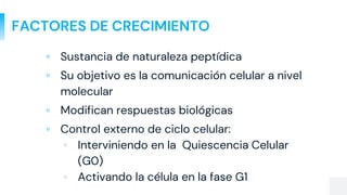 FACTORES DE CRECIMIENTO
▫ Sustancia de naturaleza peptídica
▫ Su objetivo es la comunicación celular a nivel
molecular
▫ Modifican respuestas biológicas
▫ Control externo de ciclo celular:
▫ Interviniendo en la Quiescencia Celular
(G0)
▫ Activando la célula en la fase G1
 