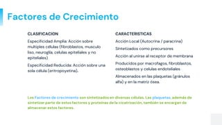 Factores de Crecimiento
CARACTERISTICAS
Acción Local (Autocrina / paracrina)
Síntetizados como precursores
Acción al unirse al receptor de membrana
Producidos por macrofagos, fibroblastos,
osteoblastos y celulas endoteliales
Almacenados en las plaquetas (gránulos
alfa) y en la matriz ósea.
CLASIFICACION
Especificidad Amplia: Acción sobre
multiples células (fibroblastos, musculo
liso, neuroglía, celulas epiteliales y no
epiteliales)
Especificidad Reducida: Acción sobre una
sola célula (eritropoyetina).
Los Factores de crecimiento son sintetizados en diversas células. Las plaquetas, además de
sintetizar parte de estos factores y proteínas de la cicatrización, también se encargan de
almacenar estos factores.
 