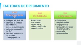 FACTORES DE CRECIMIENTO
PDGF
FC derivado de las
PLT
• Subtipos AA, BB, AB
• Estimula la síntesis
de proteínas,
• induce la quimiotaxis,
• estimula producción
de IGF-1
• Estimula producción
de factores
proangiogénicos.
EGF
FC Epidérmico
• Estimula el
crecimiento,
migración y
diferenciación de
queratinocitos
FGF
FC fibroblastico
• Estimula la
reepitelización,
• angiogénesis,
• formación del tejido
de granulación,
• acelera la
regeneración.
 