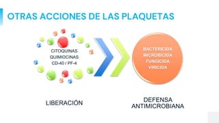 OTRAS ACCIONES DE LAS PLAQUETAS
CITOQUINAS
QUIMIOCINAS
CD-40 / PF-4
LIBERACIÓN
BACTERICIDA
MICROBICIDA
FUNGICIDA
VIRICIDA
DEFENSA
ANTIMICROBIANA
 