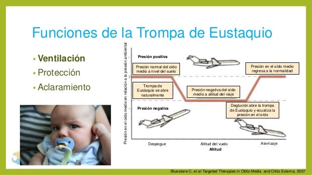 Nasofaringe, trompa de Eustaquio y oído medio Anatomía
