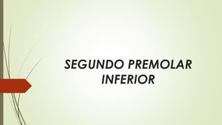 SEGUNDO PREMOLAR
INFERIOR
 
