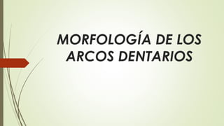 MORFOLOGÍA DE LOS
ARCOS DENTARIOS
 