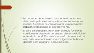  La boca del neonato esta ricamente dotada de un
sistema de guía sensorial que brinda el impulso para
muchas funciones neuromusculares vitales como: la
succión, la deglución, el bostezo y la tos.
 El acto de la succión, es un gran estimulo funcional,
contribuye al desarrollo del sistema dentomáxilo-facial
antes de la dentición; en el momento de la succión el
niño baja la mandíbula la mueve ligeramente hacia
delante para agarrar el pezón materno.
 