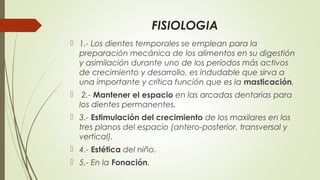 FISIOLOGIA
 1.- Los dientes temporales se emplean para la
preparación mecánica de los alimentos en su digestión
y asimilación durante uno de los períodos más activos
de crecimiento y desarrollo, es indudable que sirva a
una importante y crítica función que es la masticación.
 2.- Mantener el espacio en las arcadas dentarias para
los dientes permanentes.
 3.- Estimulación del crecimiento de los maxilares en los
tres planos del espacio (antero-posterior, transversal y
vertical).
 4.- Estética del niño.
 5.- En la Fonación.
 
