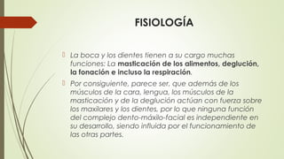 FISIOLOGÍA
 La boca y los dientes tienen a su cargo muchas
funciones: La masticación de los alimentos, deglución,
la fonación e incluso la respiración.
 Por consiguiente, parece ser, que además de los
músculos de la cara, lengua, los músculos de la
masticación y de la deglución actúan con fuerza sobre
los maxilares y los dientes, por lo que ninguna función
del complejo dento-máxilo-facial es independiente en
su desarrollo, siendo influida por el funcionamiento de
las otras partes.
 