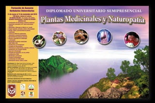 Diplomado Universitario Semipresencial Plantas Medicinales y Naturopatia 2010