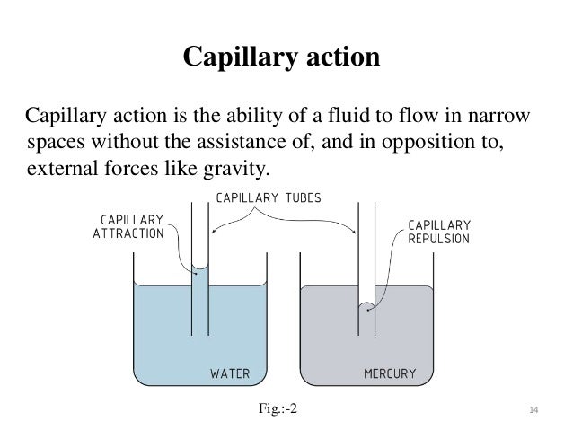 capillary action