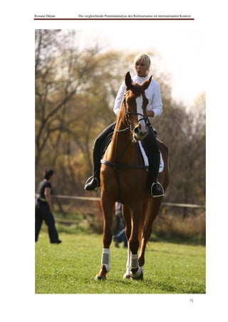 Roxana Dârjan   Die vergleichende Potentialanalyse des Reittourismus im internationalen Kontext




                                                                                              71
 