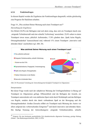 Diplomarbeit Slackline