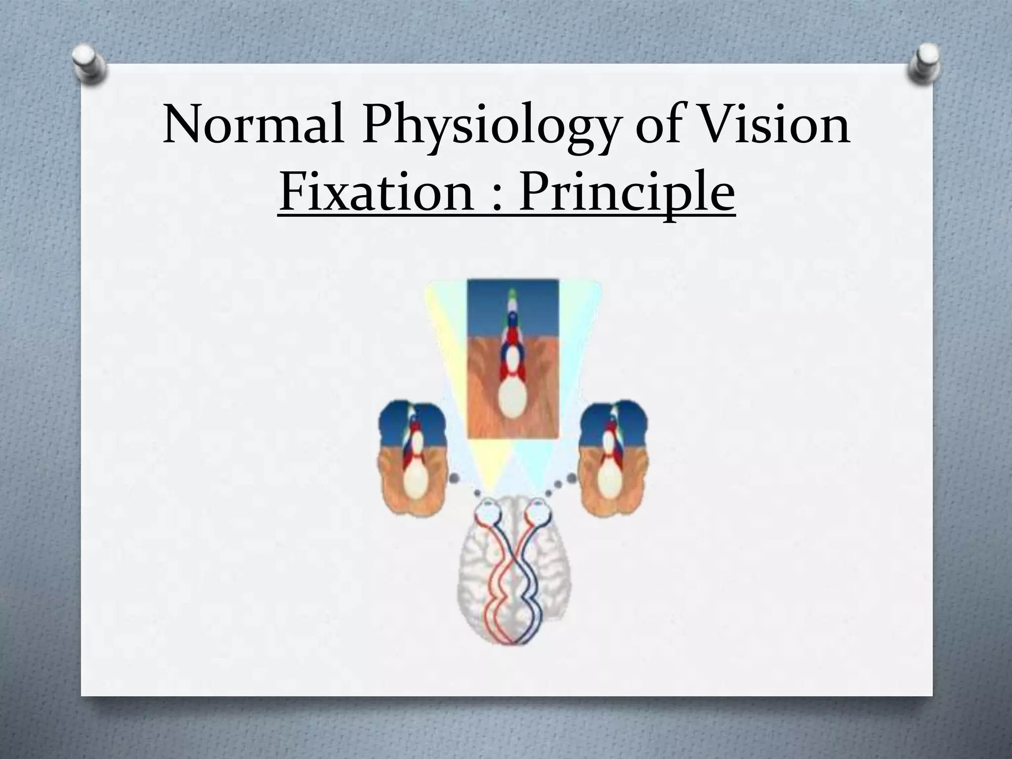 Normal Physiology of Vision
Fixation : Principle
 