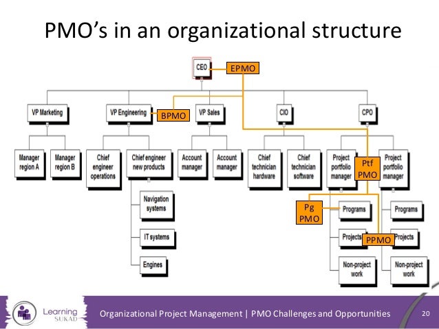 Pmo Organization Chart