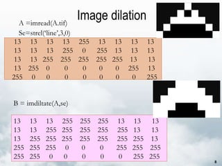 13  13  13  13  255  13  13  13  13 13  13  13  255  0  255  13  13  13 13  13  255  255  255  255  255  13  13 13  255  0  0  0  0  0  255  13 255  0  0  0  0  0  0  0  255 Image dilation 13  13  13  255  255  255  13  13  13 13  13  255  255  255  255  255  13  13 13  255  255  255  255  255  255  255  13 255  255  255  0  0  0  255  255  255 255  255  0  0  0  0  0  255  255 A =imread(A.tif) Se=strel(‘line’,3,0) B = imdiltate(A,se) 
