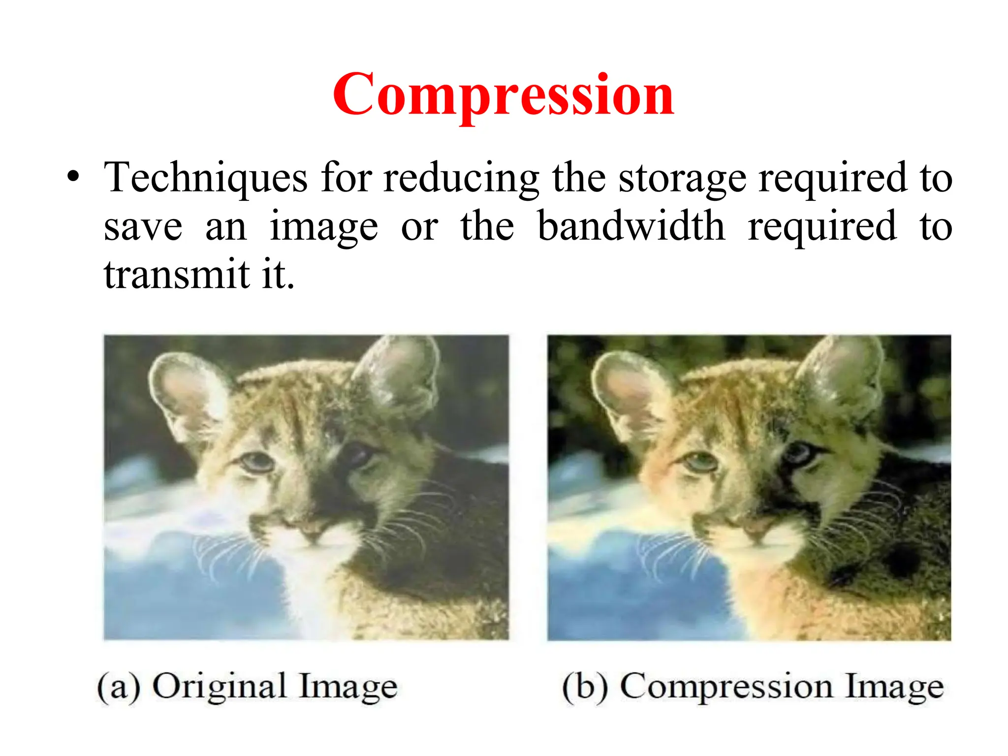 Compression
• Techniques for reducing the storage required to
save an image or the bandwidth required to
transmit it.
 