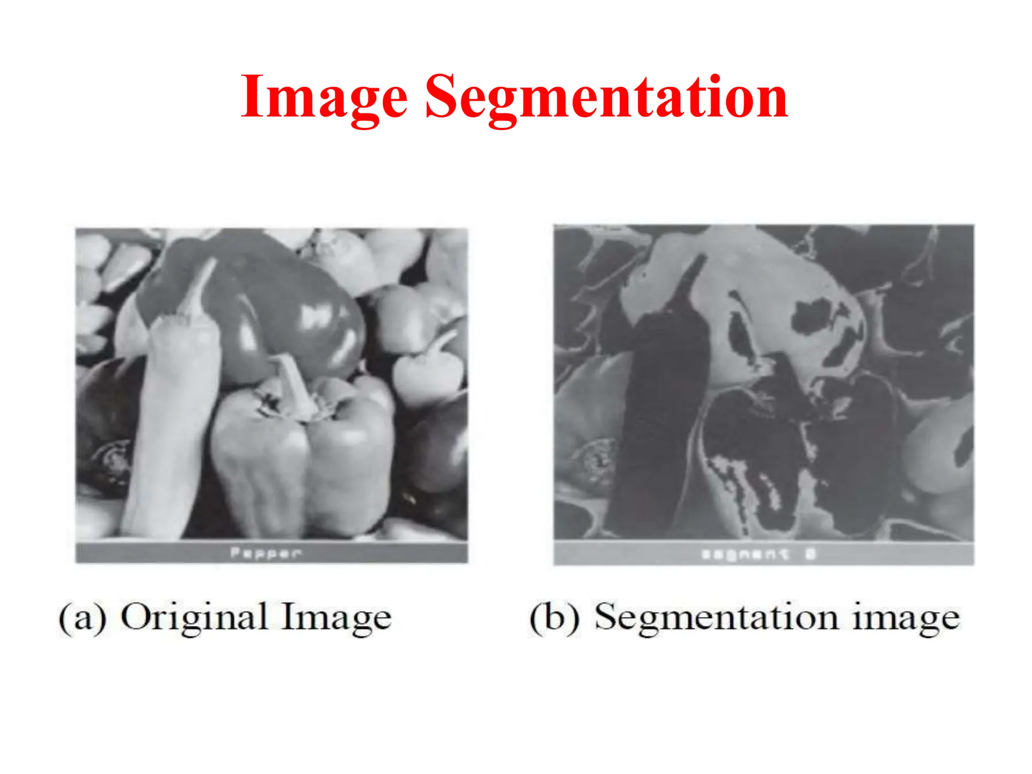 Image Segmentation
 