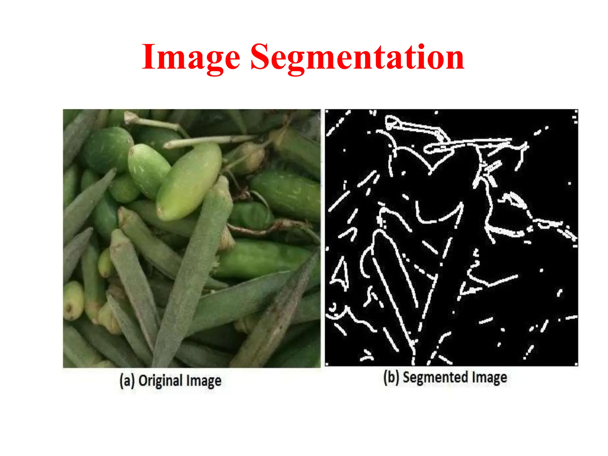 Image Segmentation
 